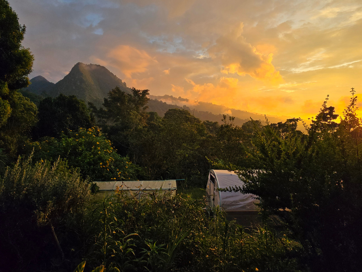 Sunset over the Kitsu Coffee farm in Tolima, Colombia